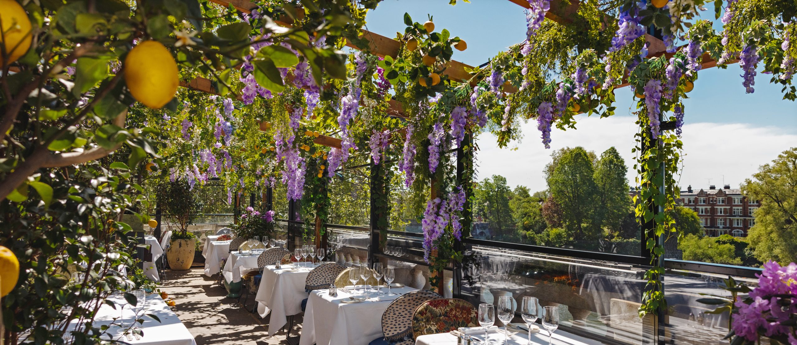 Discover our Botanical Garden Terrace 
