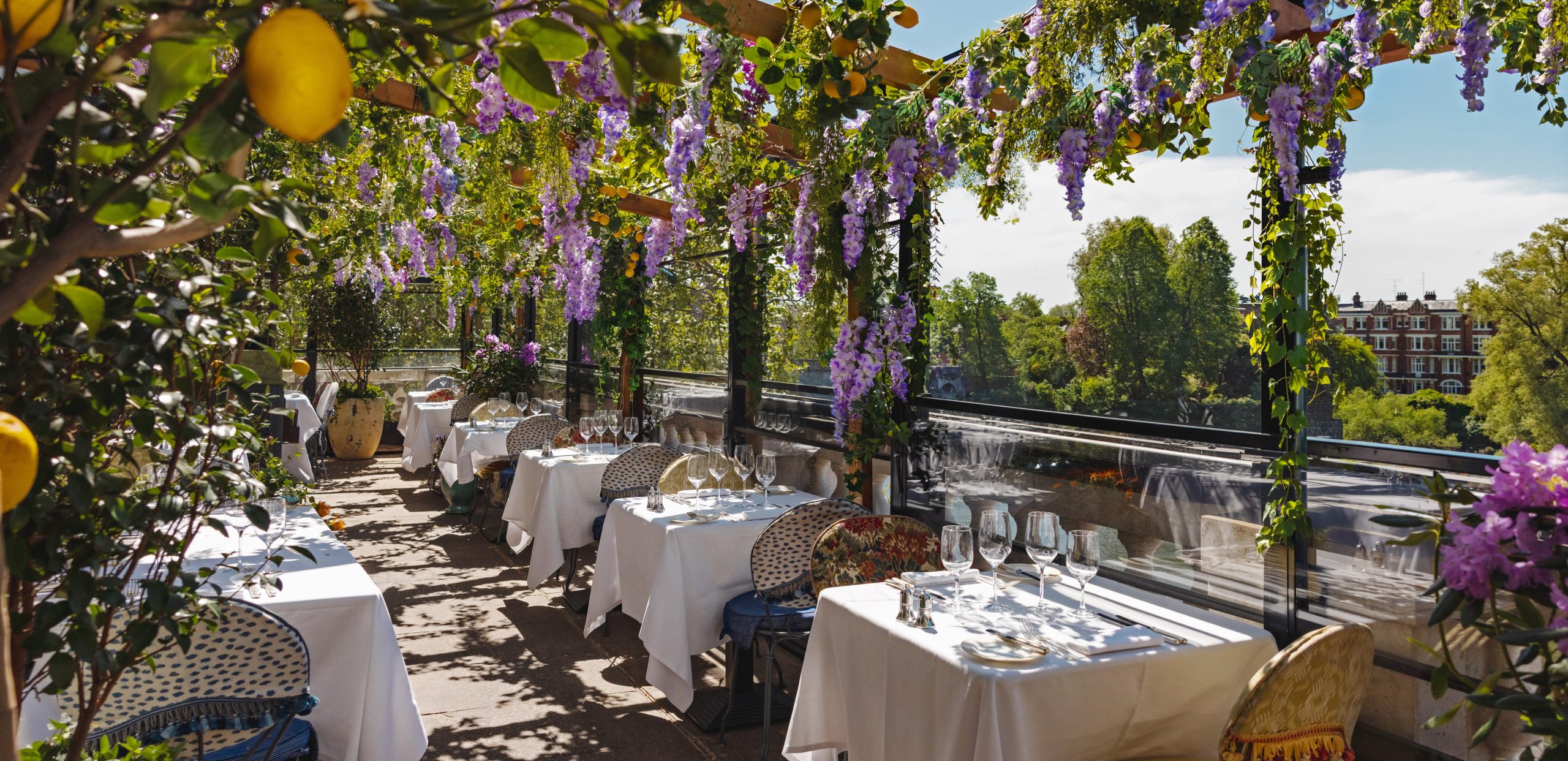 Discover our Botanical Garden Terrace 