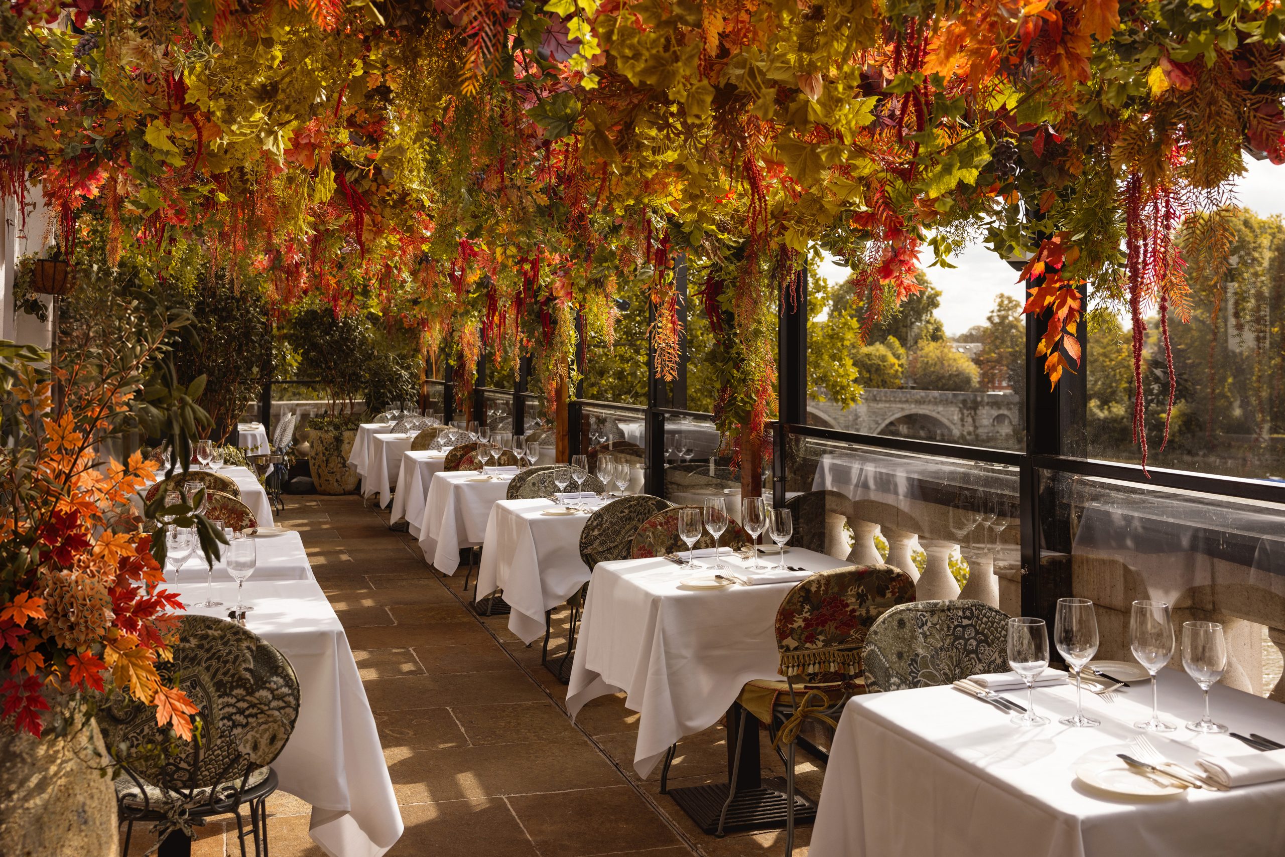 Autumn at Scott's Richmond